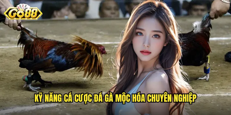 Kỹ năng cá cược đá gà mộc hóa chuyên nghiệp
